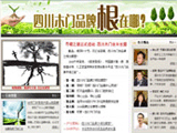 四川木門(mén)品牌根在哪里？